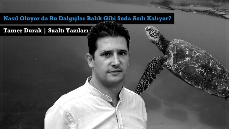 Nasıl Oluyor da Bu Dalgıçlar Balık Gibi Suda Asılı Kalıyor?